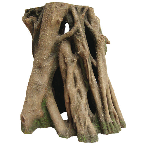 Azalea Root 2, 24 x 19 x 23 cm Hobby