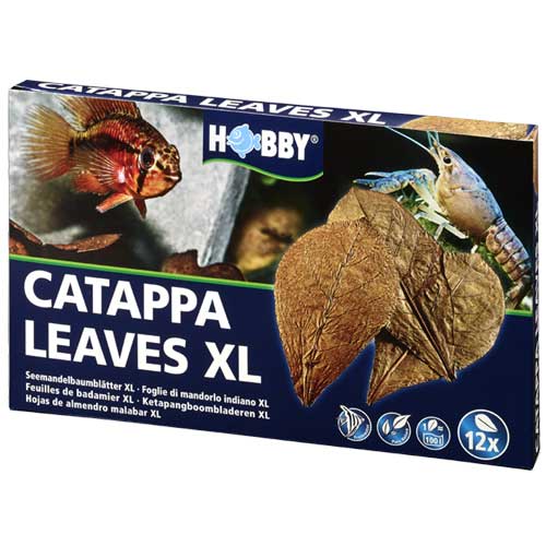 Catappa Leaves XL  12 St., SB Hobby