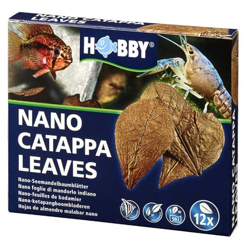 Nano Catappa Leaves  12 St., SB Hobby