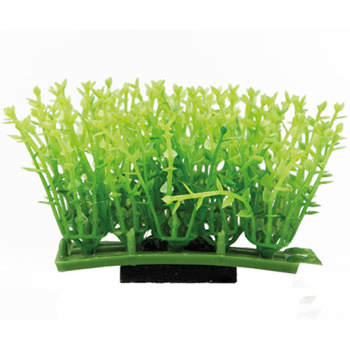 Plant Pad 1  7 x 4,5 x 5,5 cm, SB Hobby