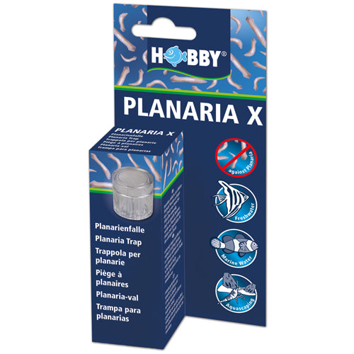 Planaria X  Planarienfalle mit 2 x Köder, SB Hobby