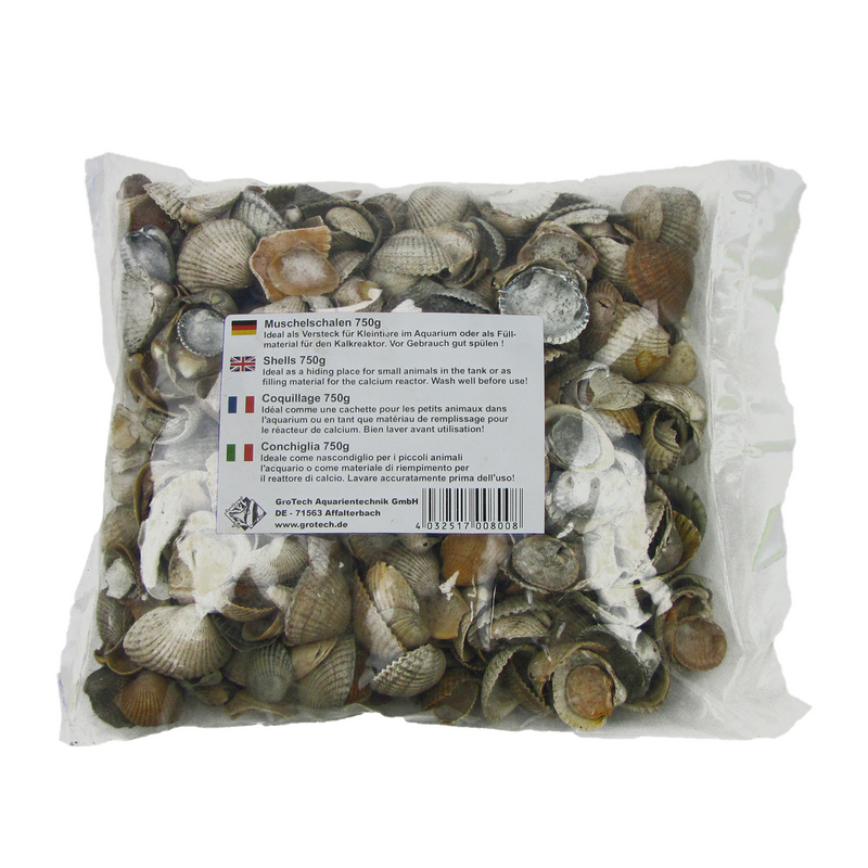 Muschelschalen / Shells / Coquillage  750g GroTech