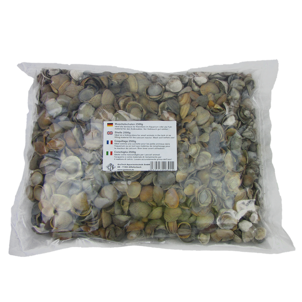 Muschelschalen / Shells / Coquillage  2500g GroTech