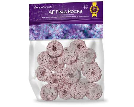 AF Frag Rocks PURPLE 24 Stk. - Korallenableger.com