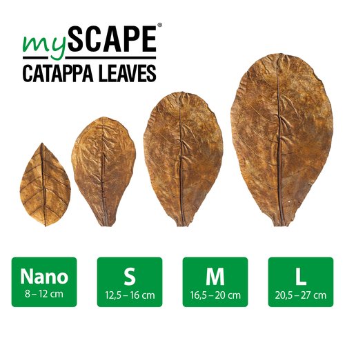 Catappa Leaves Nano 8-12cm (10stk) Microbe-Lift