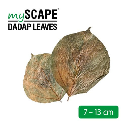 Dadap Leaves 7-13cm (10stk) Microbe-Lift